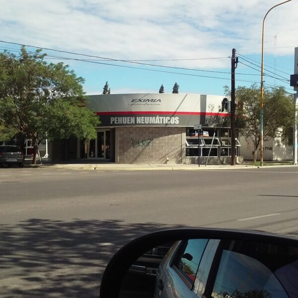 Pehuen Neumaticos