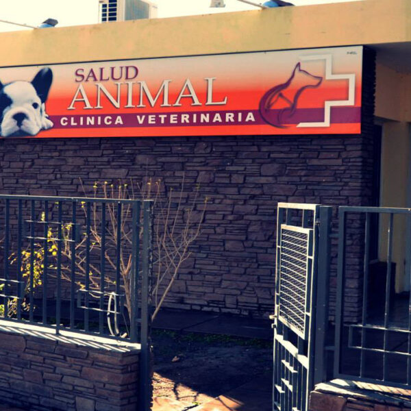Clínica Veterinaria Salud Animal